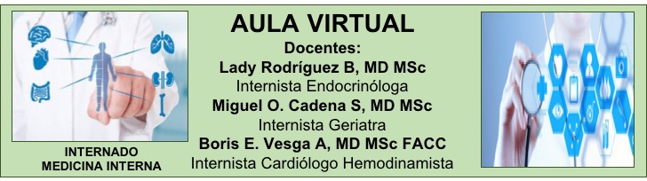 Aula virtual en Medicina Interna
